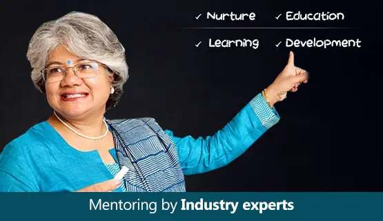 Mentoring by Industry Experts